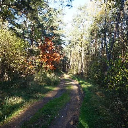 Four Winds Aparthotel 4*