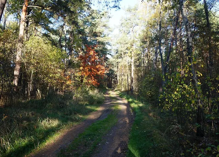 Four Winds Aparthotel 4*